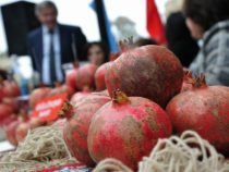 В Азербайджане прошел потрясающий Фестиваль граната