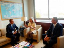 Азербайджан и ЮНЕСКО обсудили сотрудничество в сфере образования