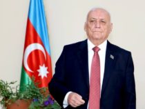 Академик Ягуб Махмудов: армянские вандалы несут заслуженное наказание