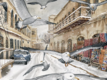 Норд: Александр Иличевский о зиме на Абшероне